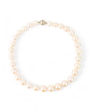 9ct Yellow Gold White Pearl Necklace