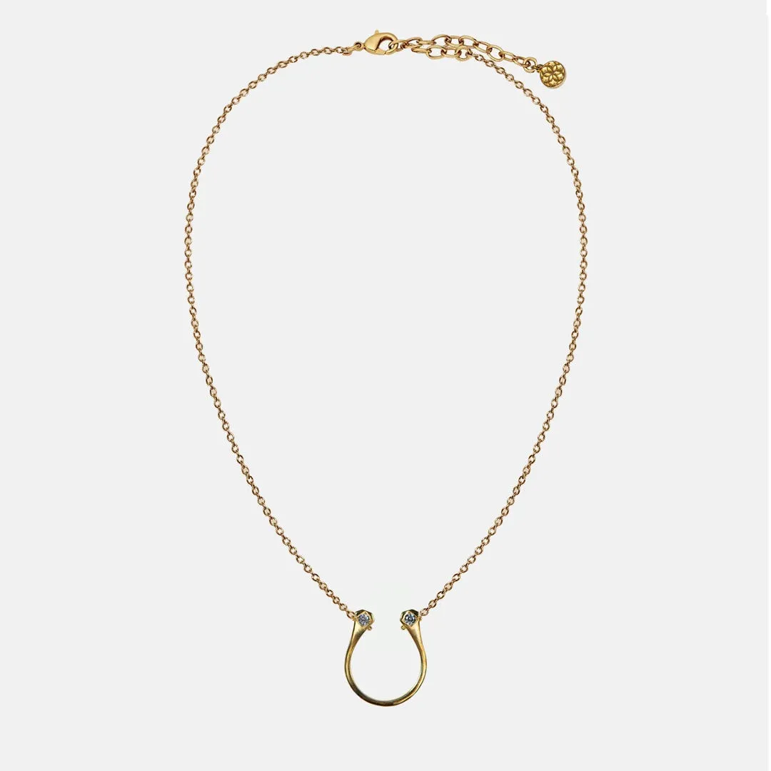 Charmed - Mossanite Stone and 14K Gold on Sterling Silver Horseshoe Pendant Necklace