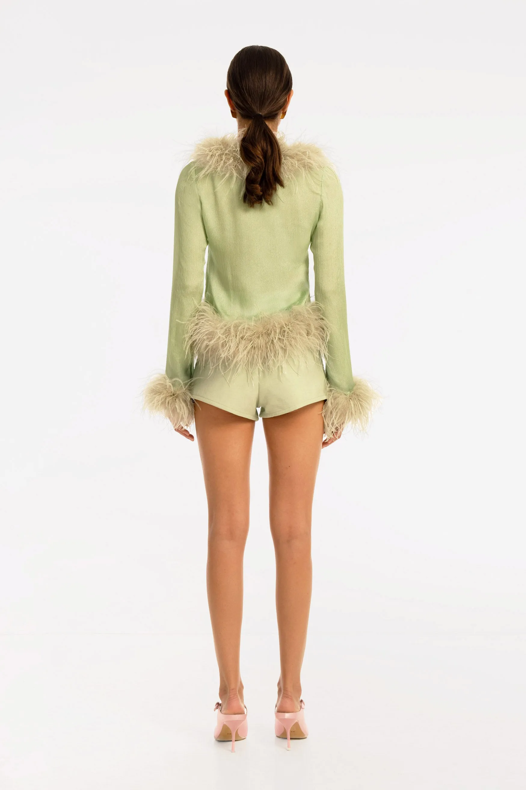 Gigi Sheer Feather Blouse - Pistachio