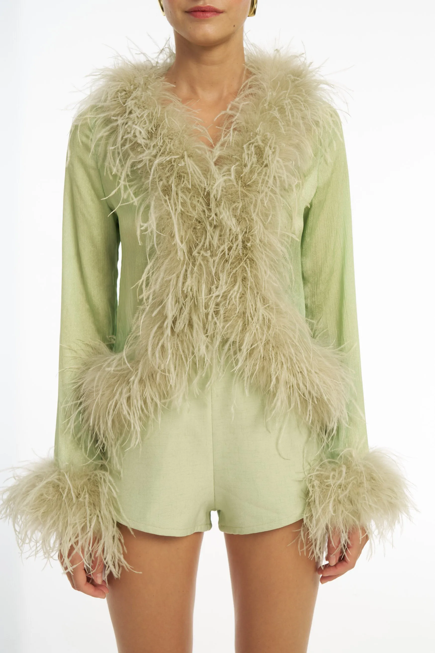 Gigi Sheer Feather Blouse - Pistachio