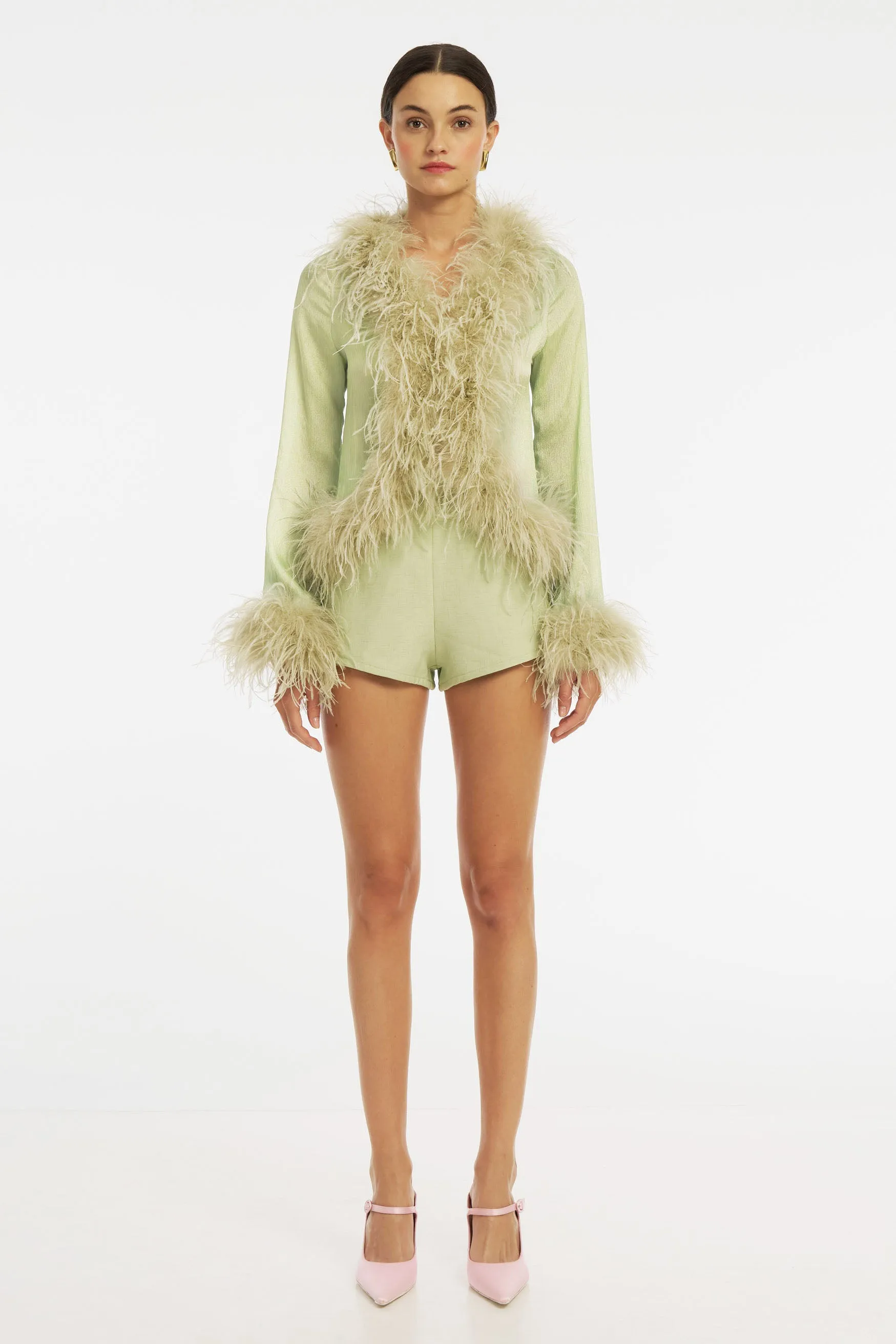 Gigi Sheer Feather Blouse - Pistachio