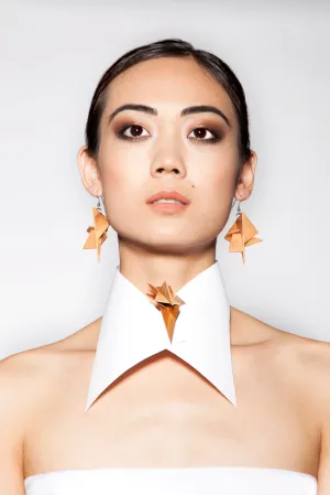 Hardwood Earrings & Brooch