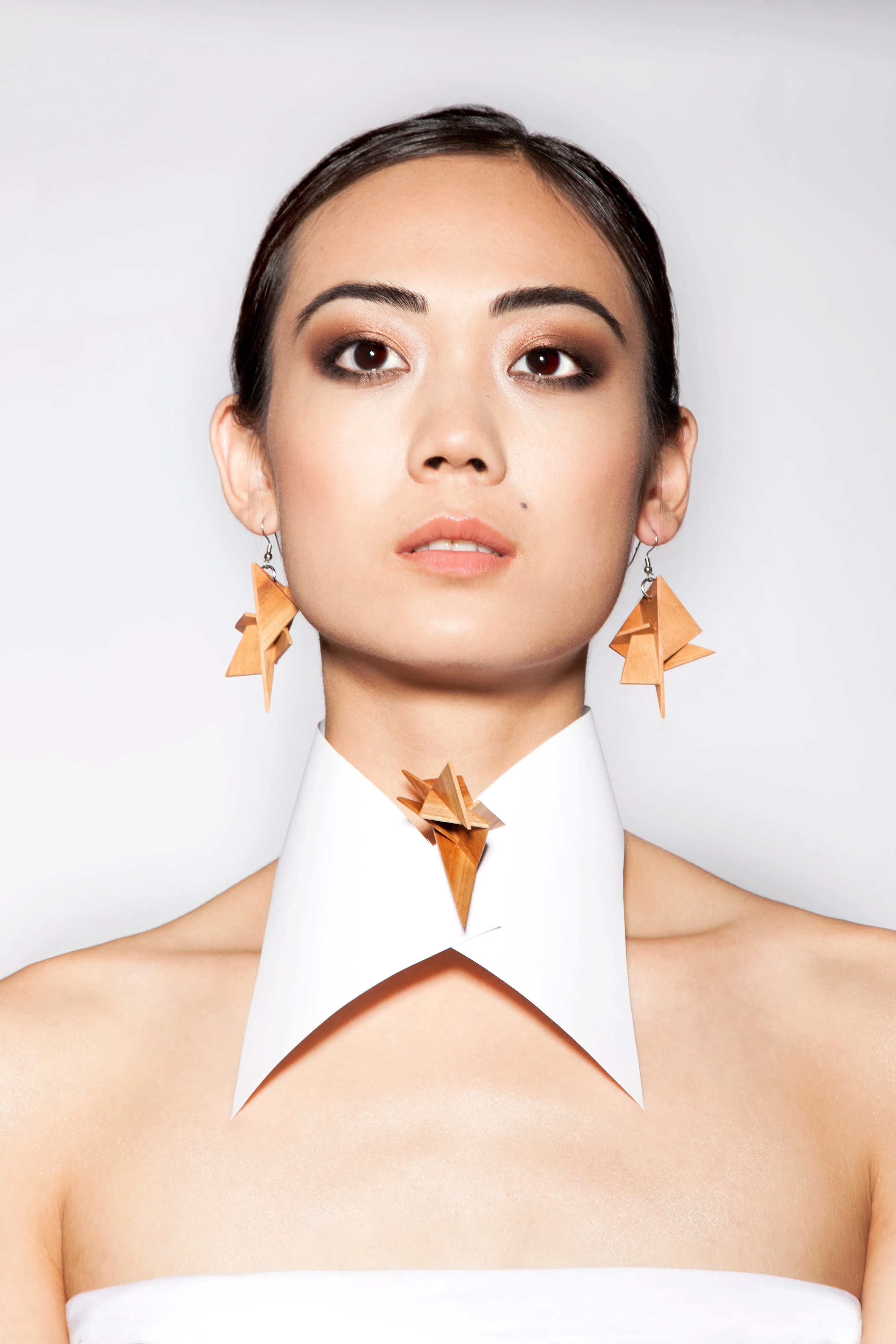 Hardwood Earrings & Brooch