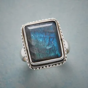 Main Focus Ring