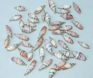 Pair Small Natural Gold Edge Seashell Pendants, Spiral Shell Bead, Seashell Pendant, Ocean Shell Jewelry, Conch Shell, 25-30mm, 14G-A