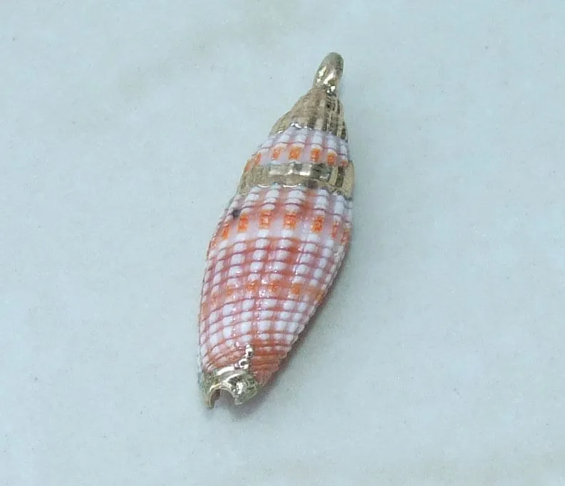 Pair Small Natural Gold Edge Seashell Pendants, Spiral Shell Bead, Seashell Pendant, Ocean Shell Jewelry, Conch Shell, 25-30mm, 14G-A