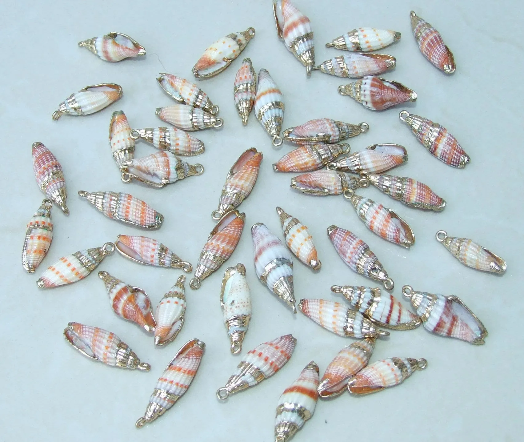 Pair Small Natural Gold Edge Seashell Pendants, Spiral Shell Bead, Seashell Pendant, Ocean Shell Jewelry, Conch Shell, 25-30mm, 14G-A