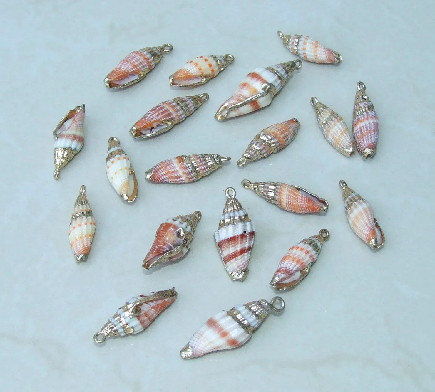 Pair Small Natural Gold Edge Seashell Pendants, Spiral Shell Bead, Seashell Pendant, Ocean Shell Jewelry, Conch Shell, 25-30mm, 14G-A