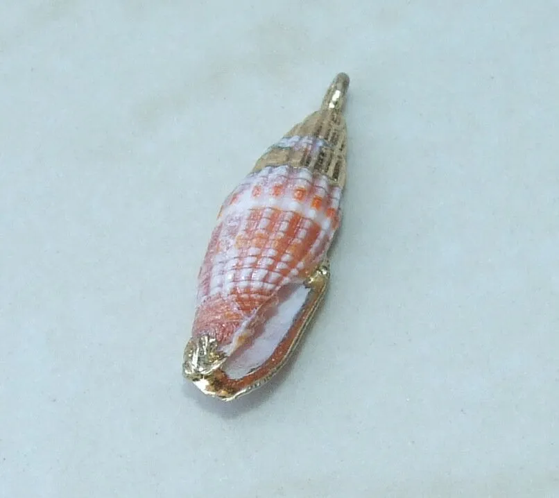 Pair Small Natural Gold Edge Seashell Pendants, Spiral Shell Bead, Seashell Pendant, Ocean Shell Jewelry, Conch Shell, 25-30mm, 14G-A