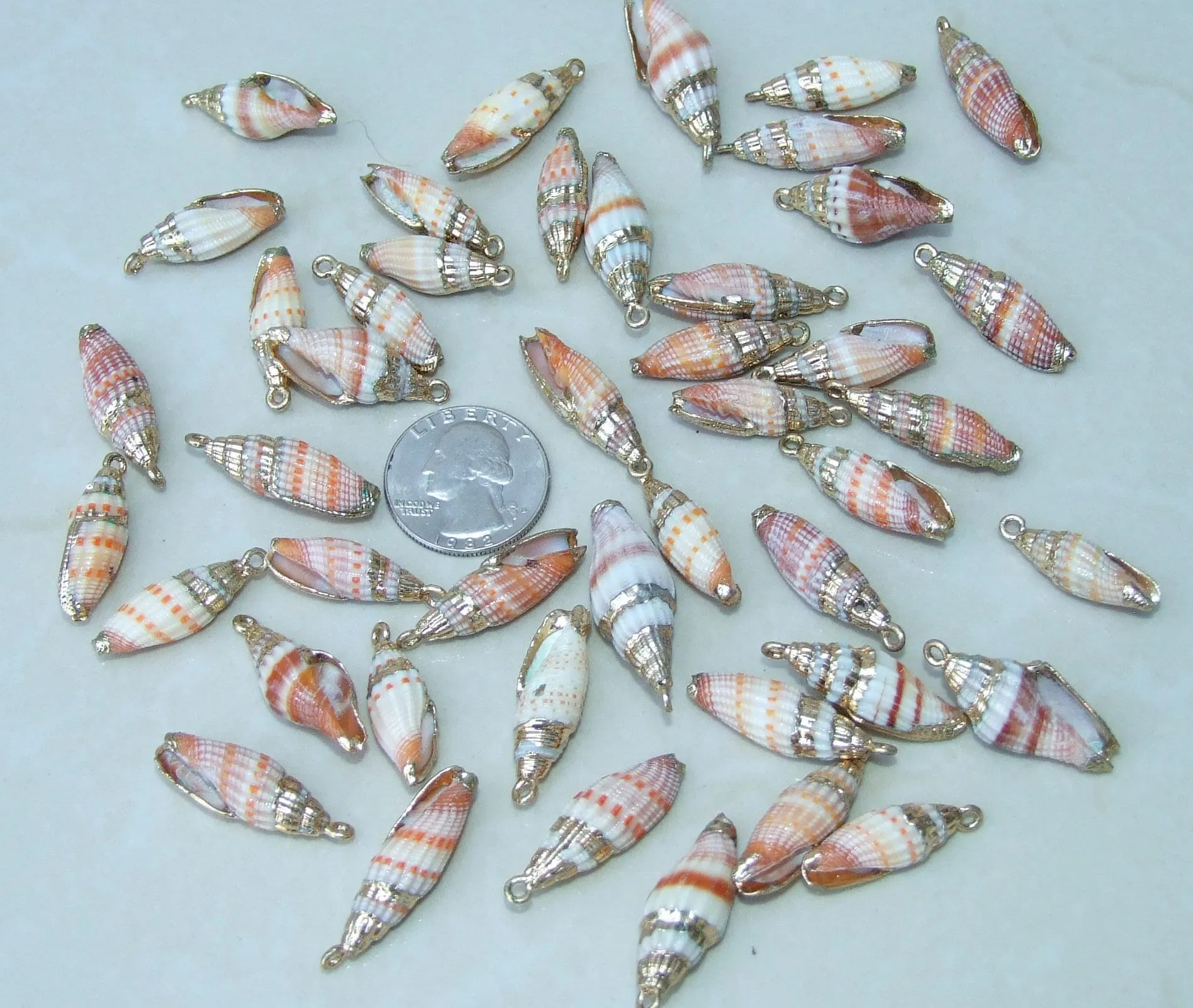 Pair Small Natural Gold Edge Seashell Pendants, Spiral Shell Bead, Seashell Pendant, Ocean Shell Jewelry, Conch Shell, 25-30mm, 14G-A