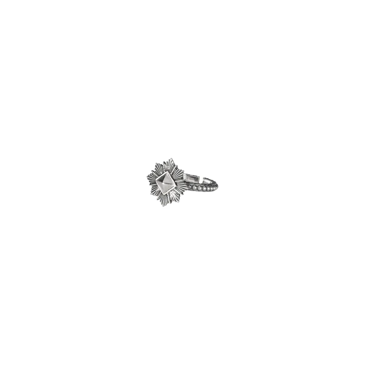 Ring "Paylk"