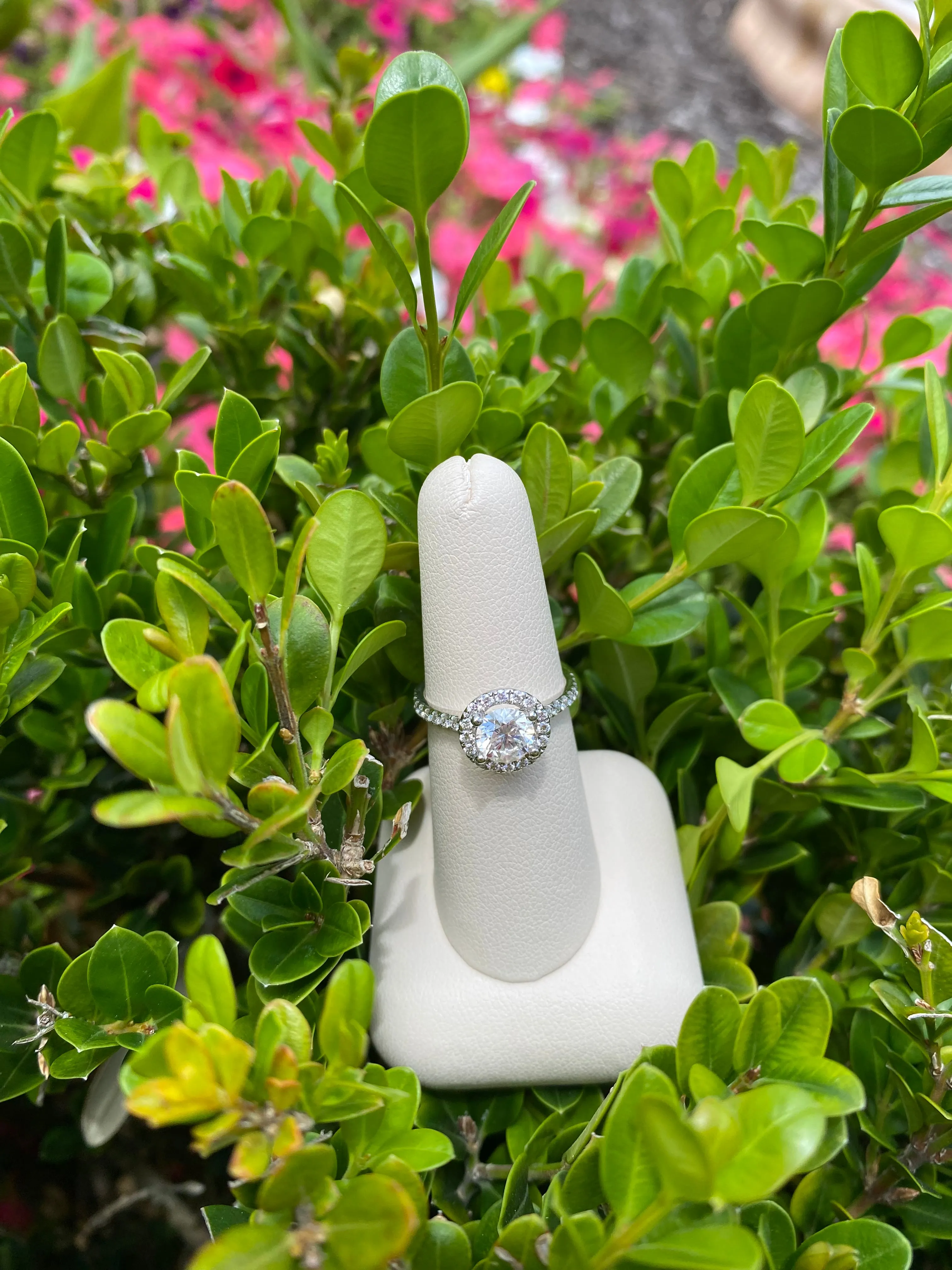 Round Halo and Pave Engagement Ring